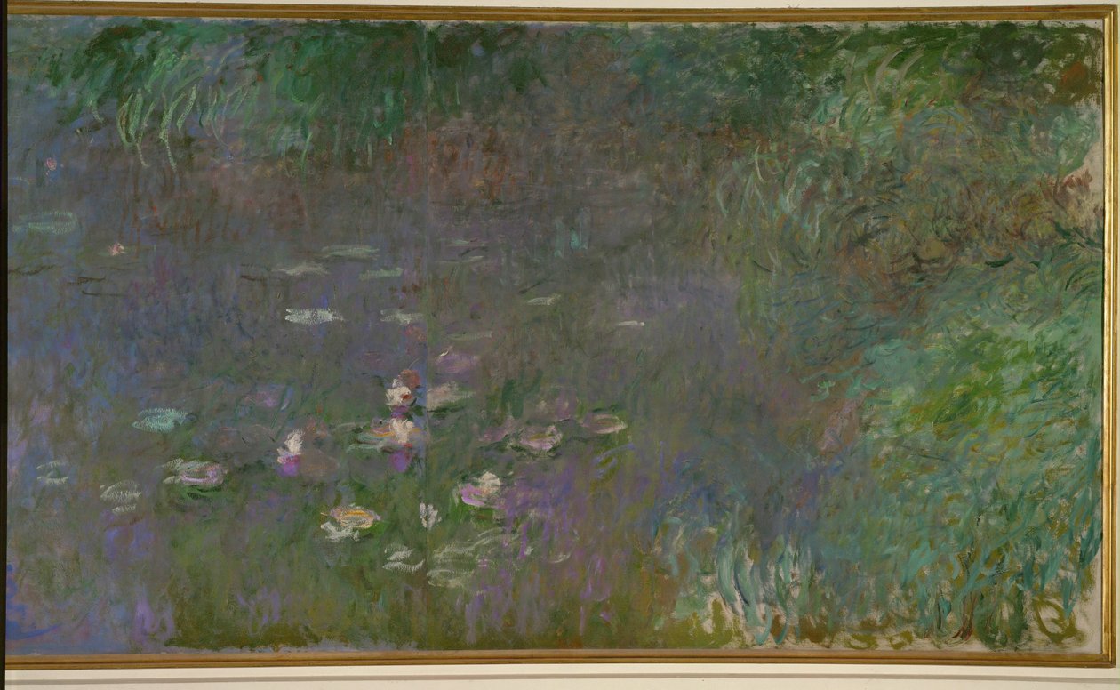Les Nympheas: matin (öljy kankaalle) tekijältä Claude Monet