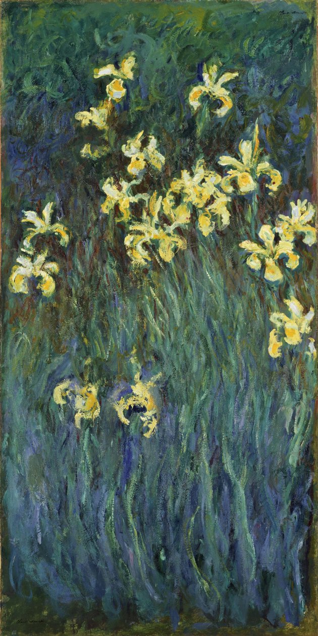Keltaiset iirikset - Claude Monet