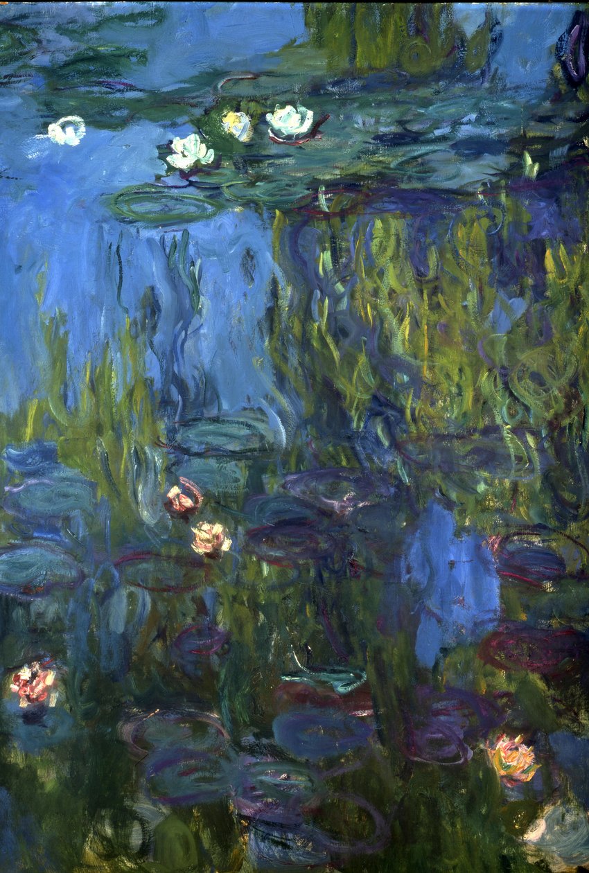 Nympheas, 1914-17 tekijältä Claude Monet