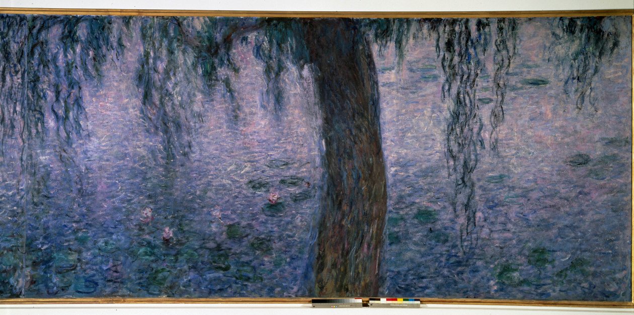 Nympheas, valoisa aamu Triptyykkipajujen oikealla puolella. Claude Monet