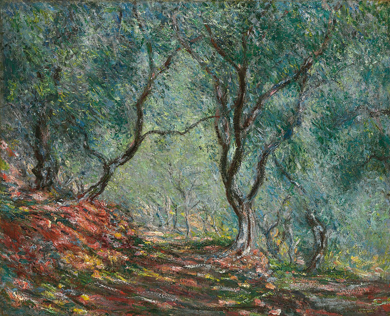 Oliivipuut Moreno Gardenissa, 1884 tekijältä Claude Monet