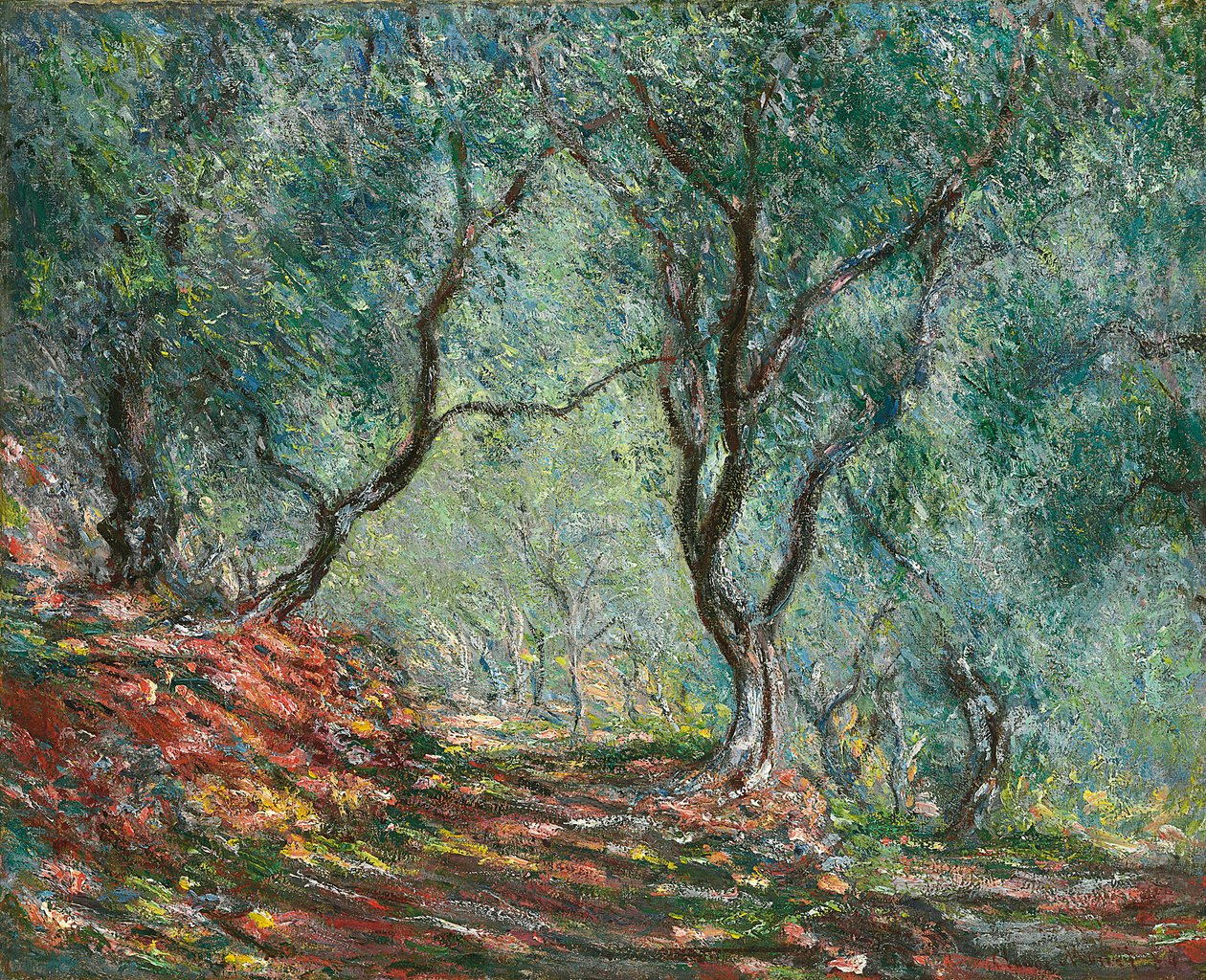Oliivipuut Morenon puutarhassa; Oliivipuuta Morenon puutarhassa, 1884 tekijältä Claude Monet