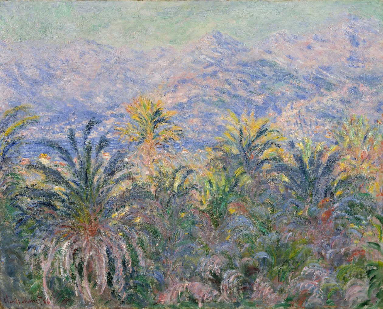 Palmuja Bordigherassa tekijältä Claude Monet