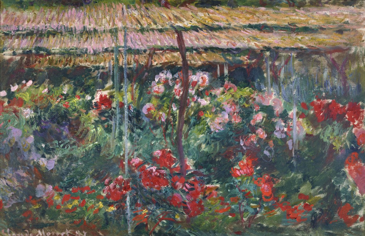 Pionipuutarha, 1887 tekijältä Claude Monet