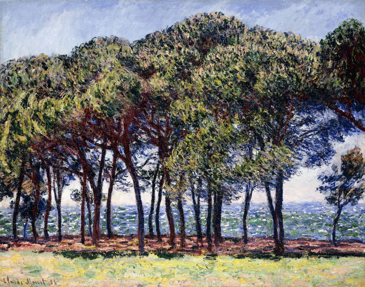 Pines, Cap d"Antibes, 1888 tekijältä Claude Monet