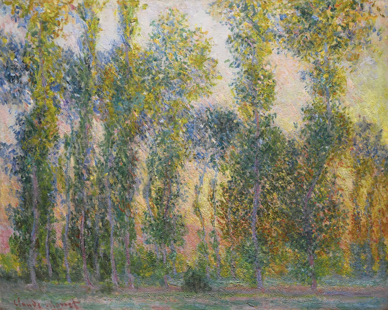Poppelit Givernyssä, 1887 tekijältä Claude Monet