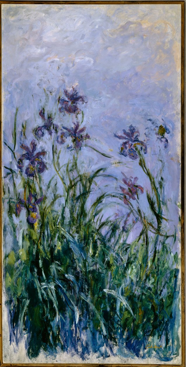 Purple Irises, 1914-17 tekijältä Claude Monet