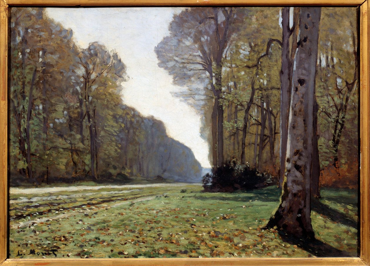 Chailly, Fontainebleau, n. 1865 (öljy kankaalle) tekijältä Claude Monet