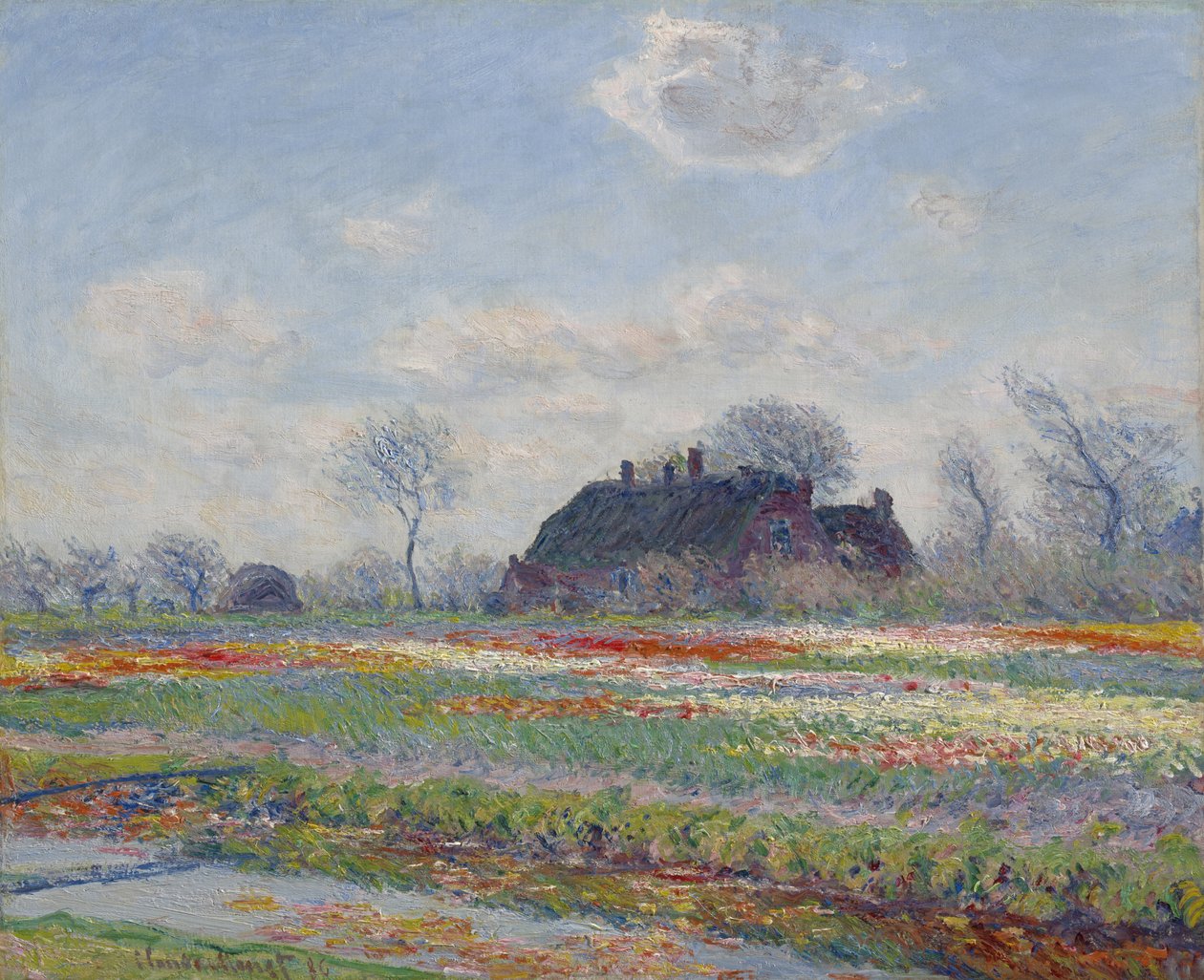 Tulppaanipellot Sassenheimissa, 1886 tekijältä Claude Monet