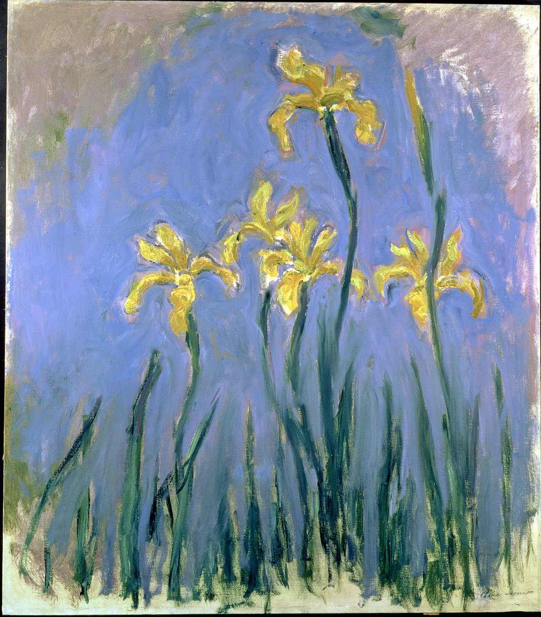 Keltaiset iirikset; Les Iris Jaunes, n. 1918-1925 (öljy kankaalle) tekijältä Claude Monet