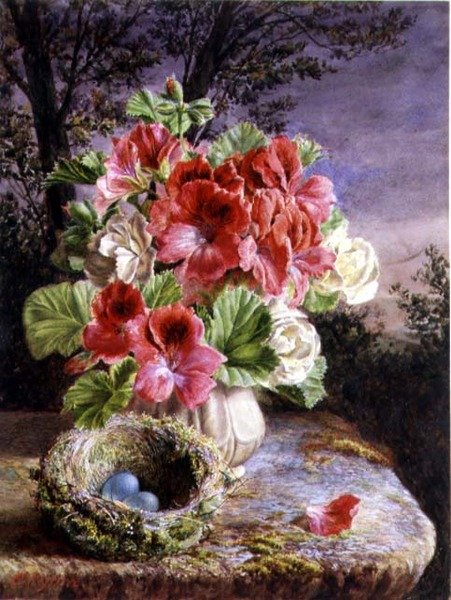 Gloxinia ja linnunpesä tekijältä Claude Ryan