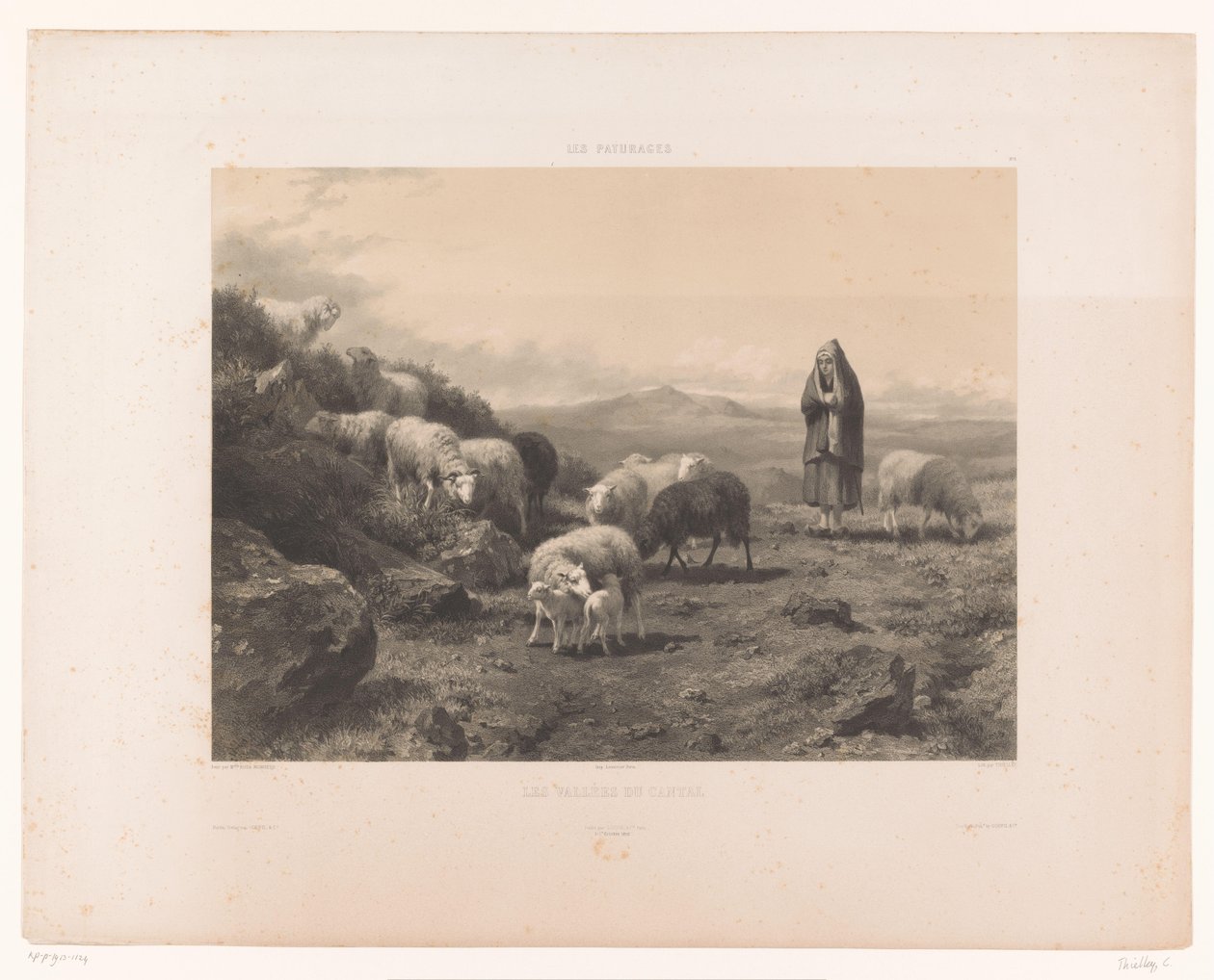 Paimentar lampaiden kanssa Cantalin tasangolla Les Vallées du Cantal (otsikko esineessä) Laitumet (sarjan nimi) Les paturages (sarjan nimi esineellä) tekijältä Claude Thielley