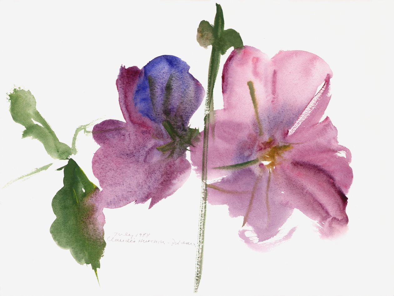 Hollyhocks, 1988 (akvarelli) tekijältä Claudia Hutchins Puechavy