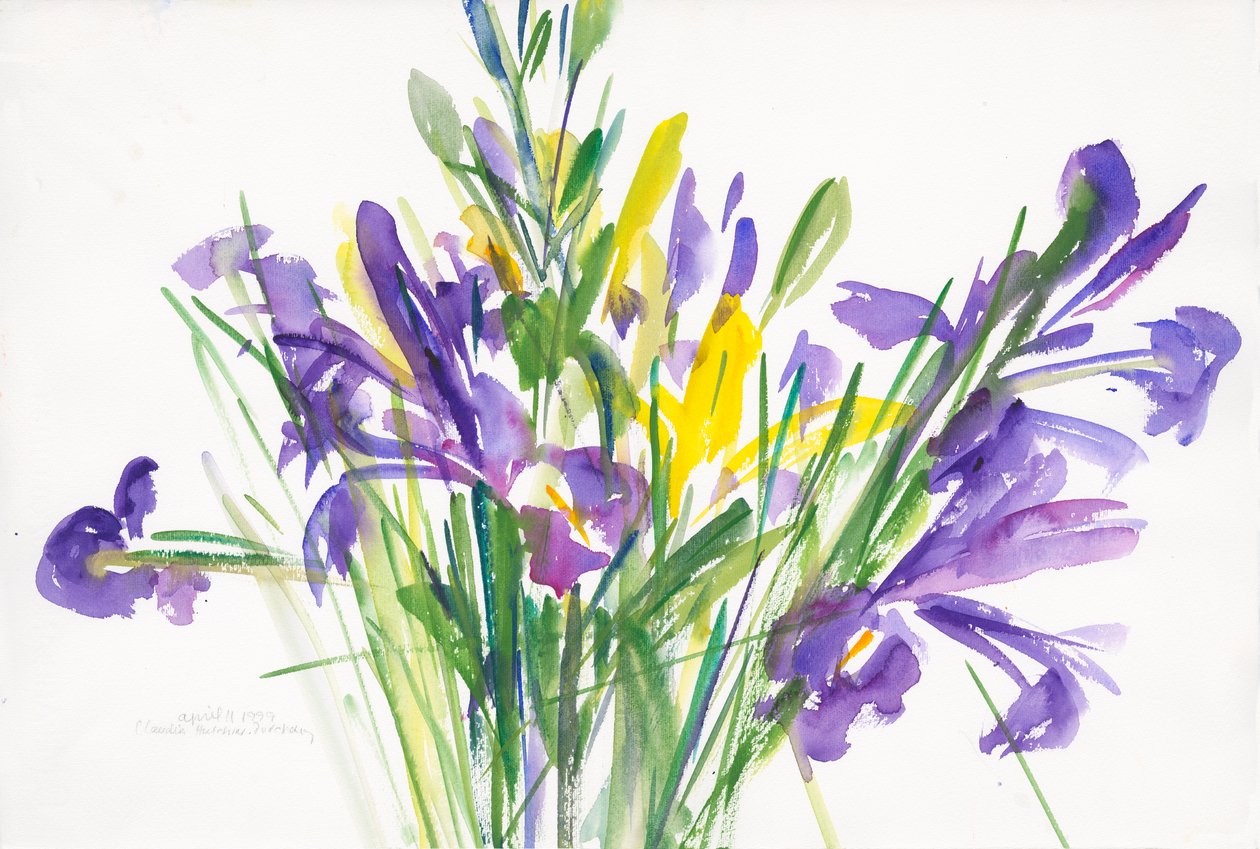 Irises, 1999, (akvarelli paperille) tekijältä Claudia Hutchins-Puechavy