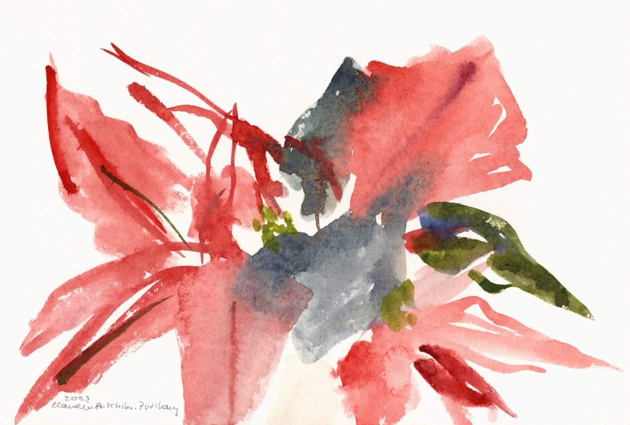 Joulutähti, 2003 tekijältä Claudia Hutchins Puechavy