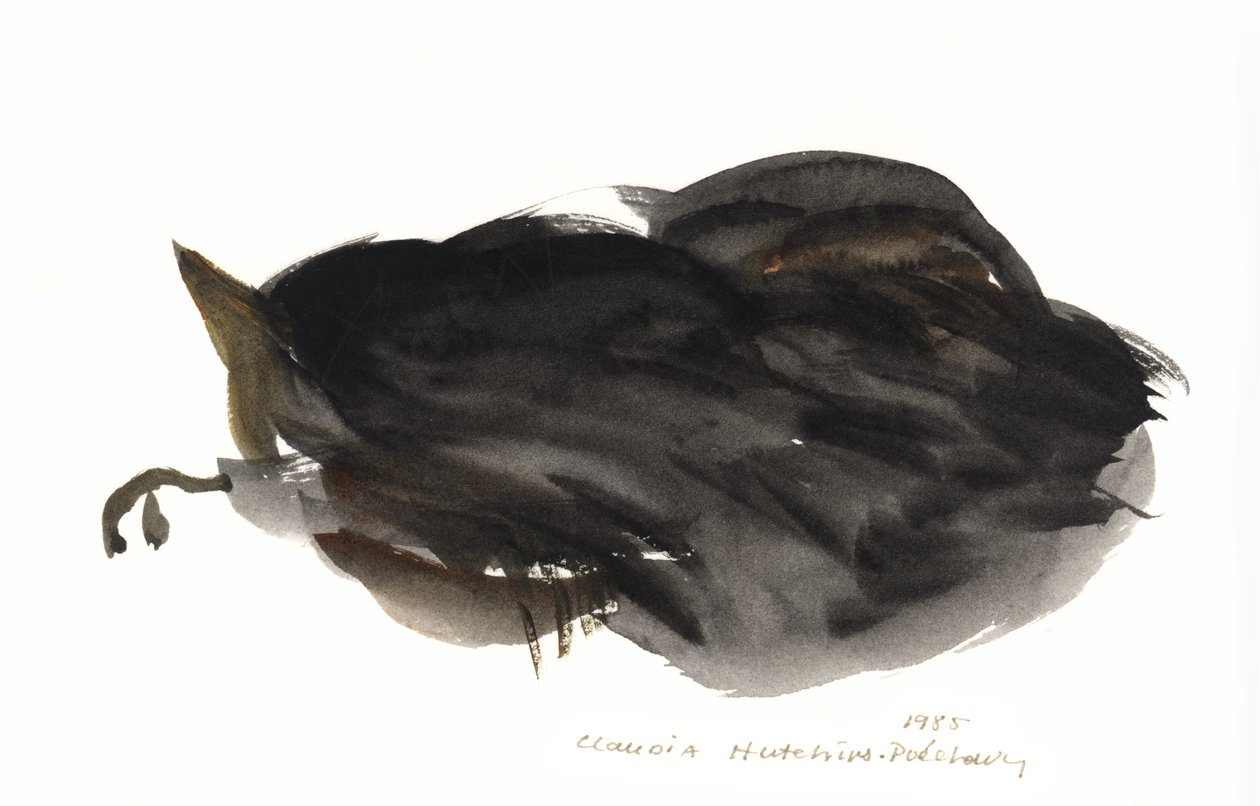 Nukkuva kissa, 1985 (akvarelli) tekijältä Claudia Hutchins Puechavy
