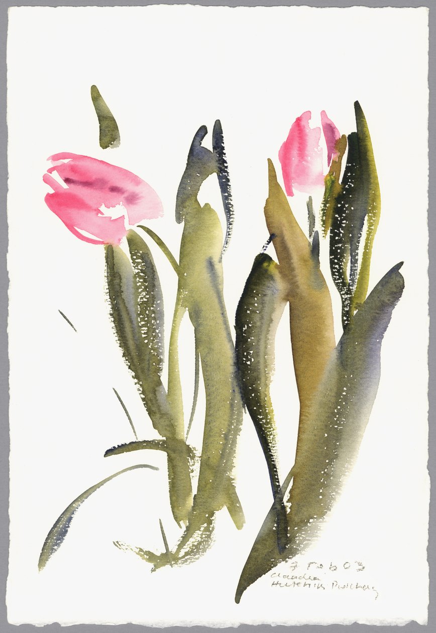 Tulppaanit, 2003 (akvarelli) tekijältä Claudia Hutchins Puechavy