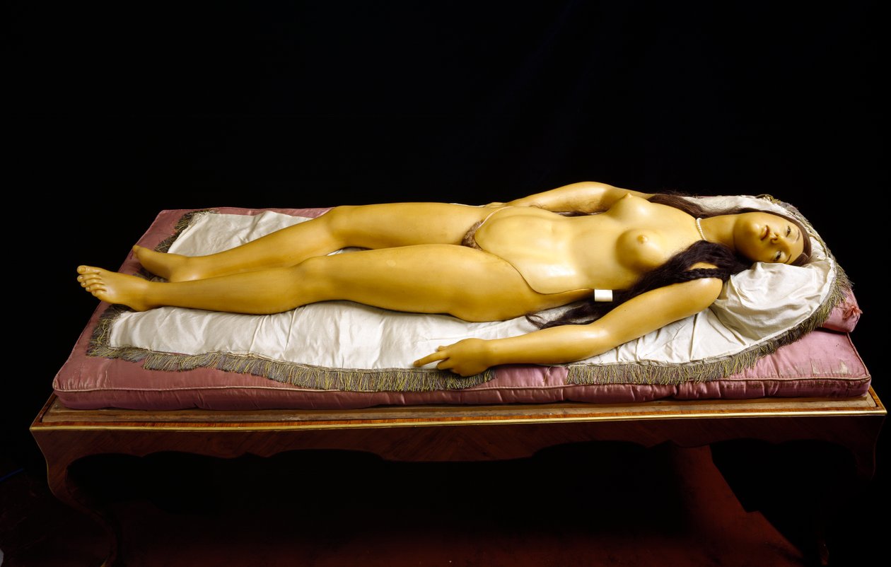 "The Dismantable Venus", anatominen malli (vaha) tekijältä Clemente Susini