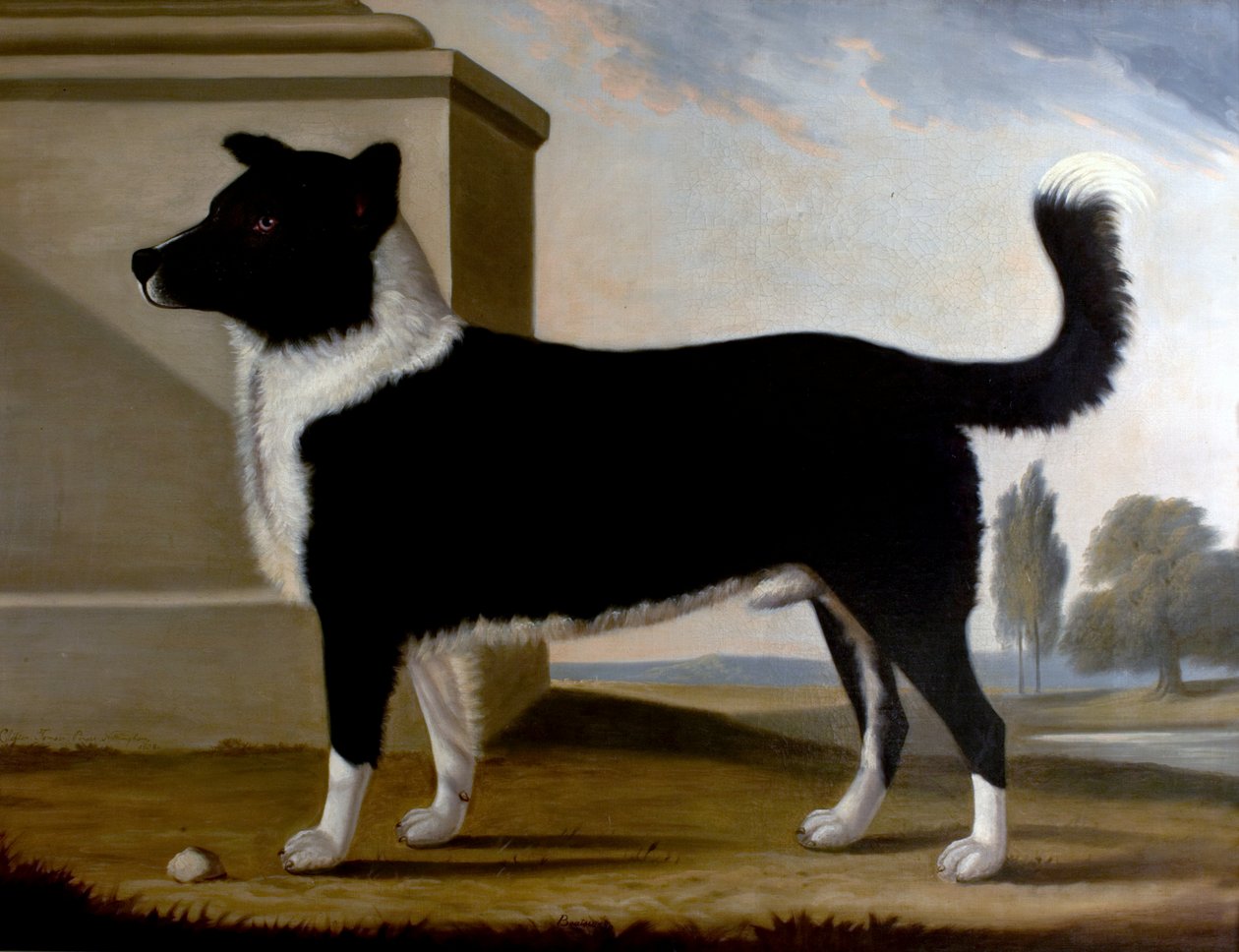 Lord Byrons Dog Boatswain (Newfoundland), 1808 tekijältä Clifton Tomson