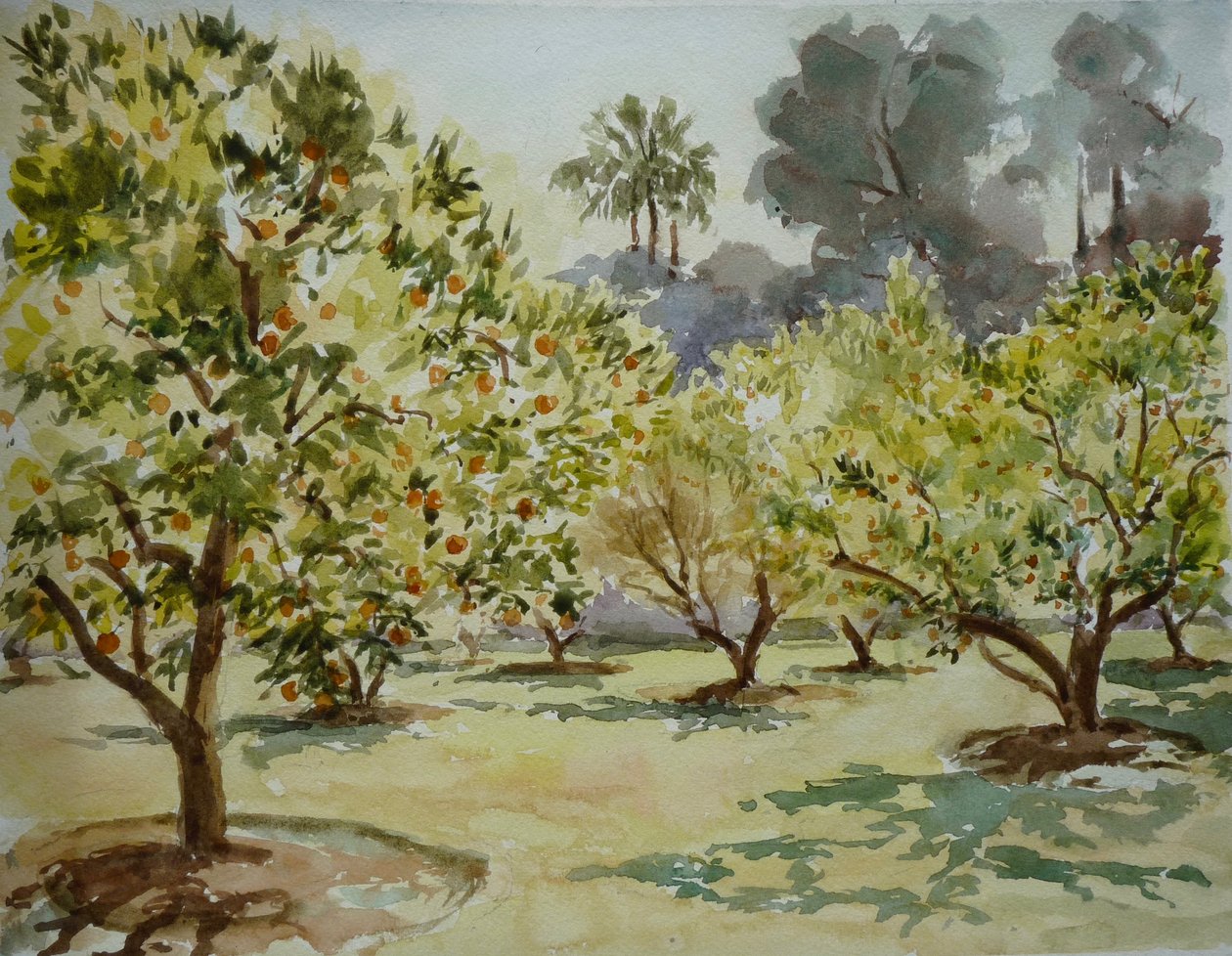 Mamounia, appelsiinilehdot, 2000 (akvarelli) tekijältä Clive Wilson