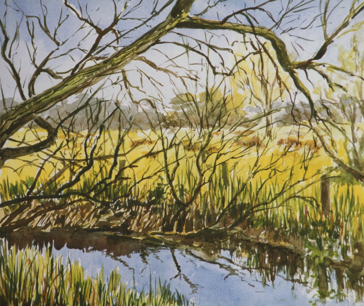 Water Meadows, Kintbury, toukokuun alussa iltapäivällä tekijältä Clive Wilson