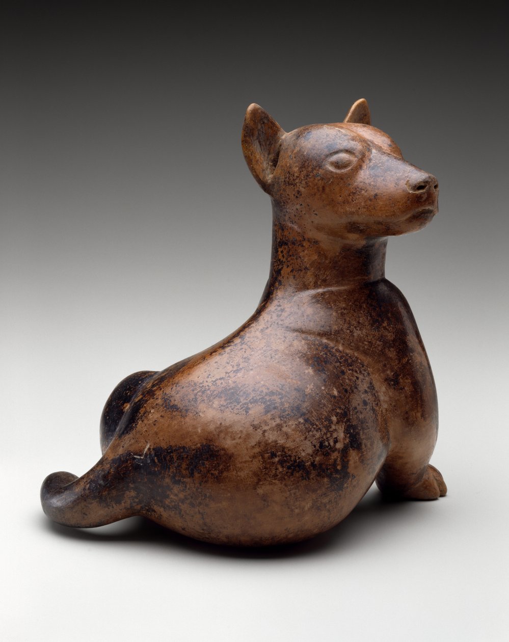 Puoliistuva koira, Meksiko, Proto-Classic, 100 eKr.-300 AD (keramiikka) tekijältä Colima Culture
