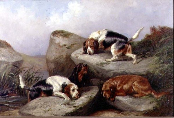 Saukkokoira, 1889 tekijältä Colin Graeme