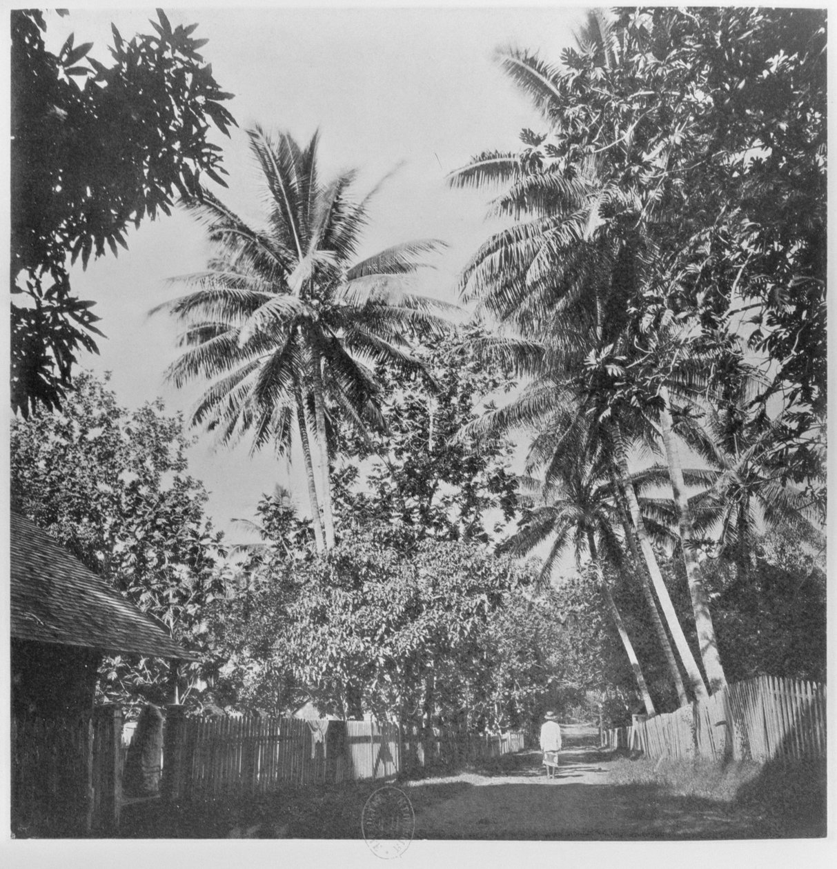 Katu Papeetessa, Tahitista, julkaistu Lontoossa, 1882 tekijältä Colonel Stuart Wortley