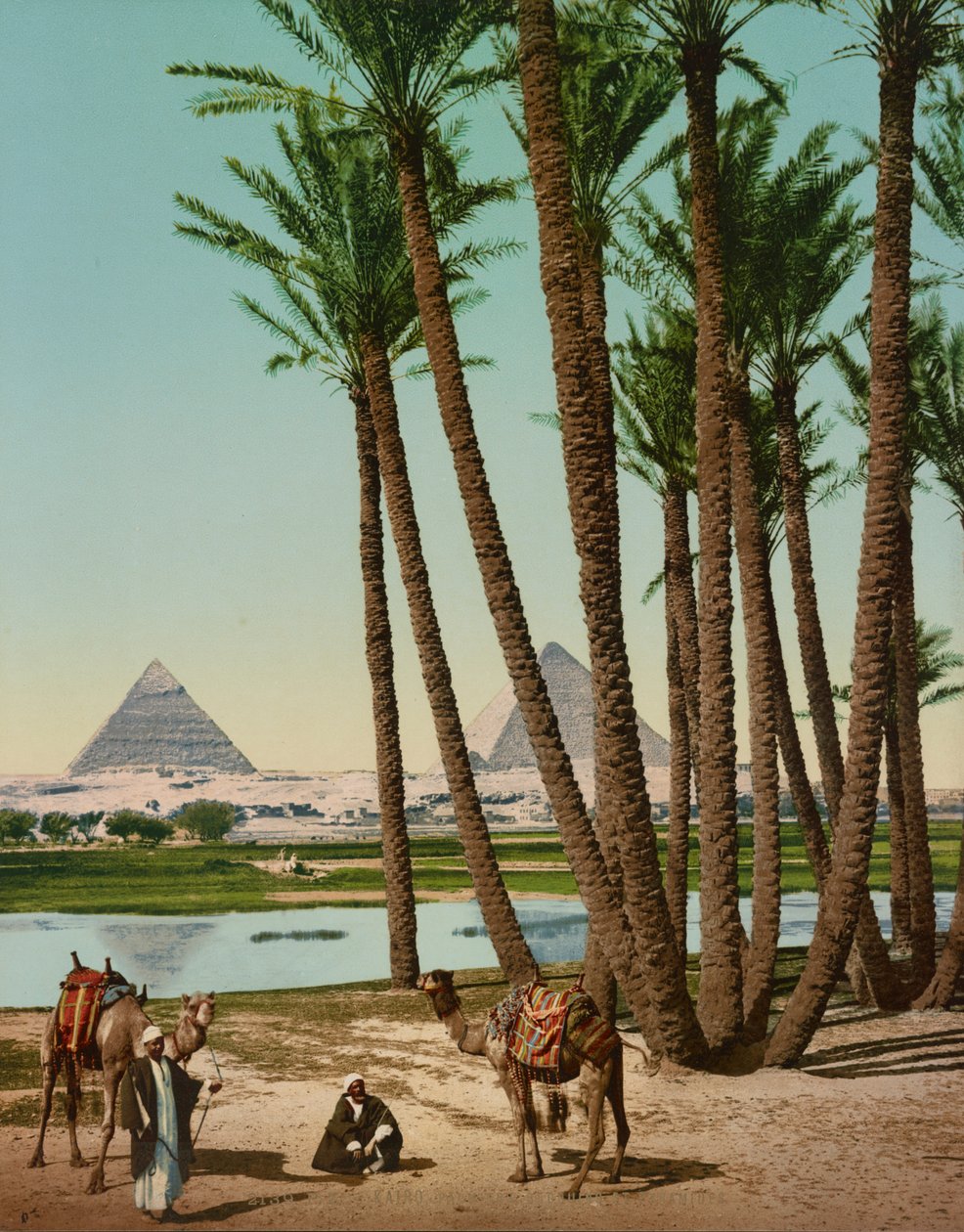 Palmut, beduiinit ja pyramidit, Kairo, Egypti tekijältä Company Photoglob