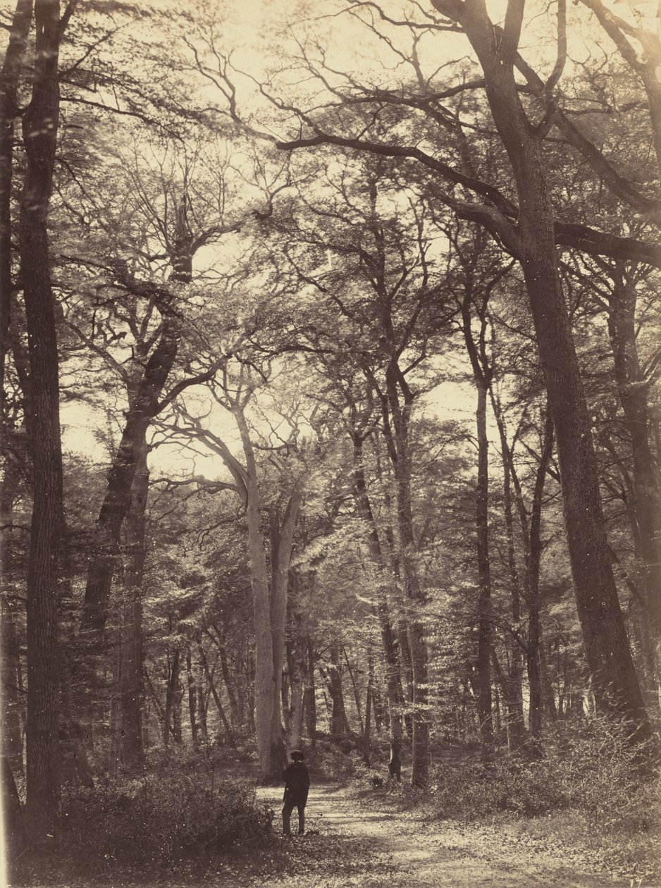 Metsäkohtaus,c. 1865 (kuva) tekijältä Constant Alexandre Famin