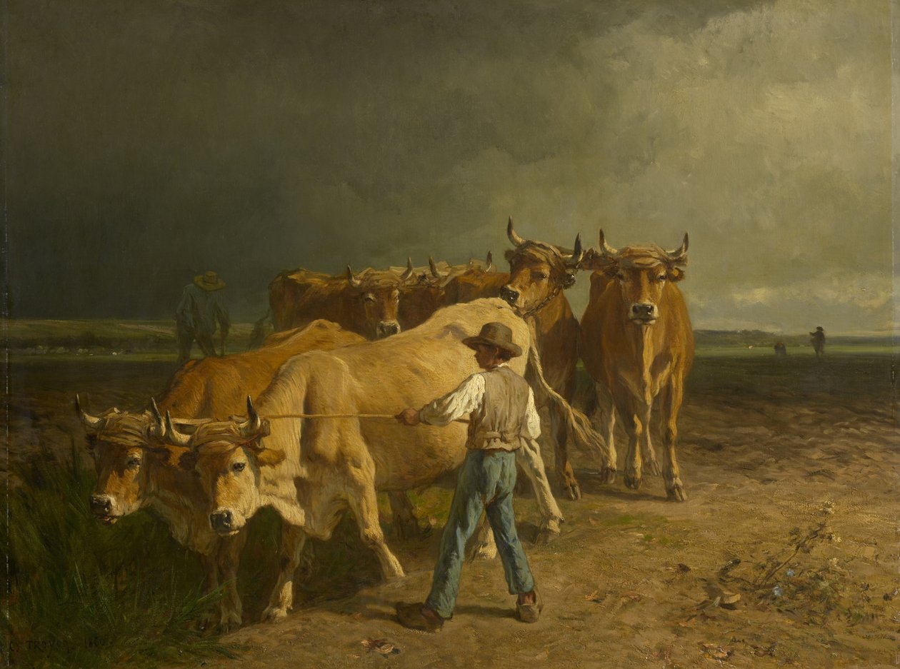 Härän kyntö, 1860 tekijältä Constant Emile Troyon