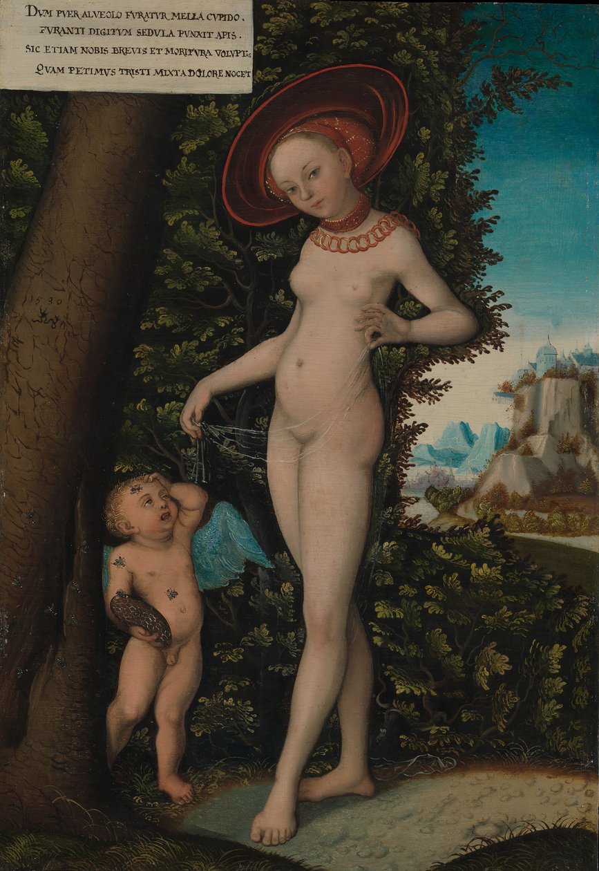 Venus Cupid the Honey Thiefin kanssa, n. 1580-1620. tekijältä Copy after Lucas Cranach the Elder