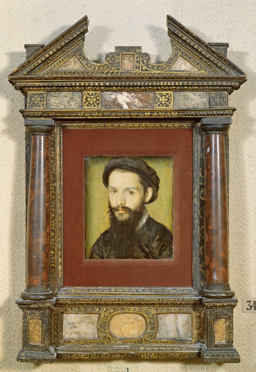 Muotokuvan oletetaan olevan Clement Marot (1496-1544) (katso lisätietoja kohdasta 226058) tekijältä Corneille de Lyon