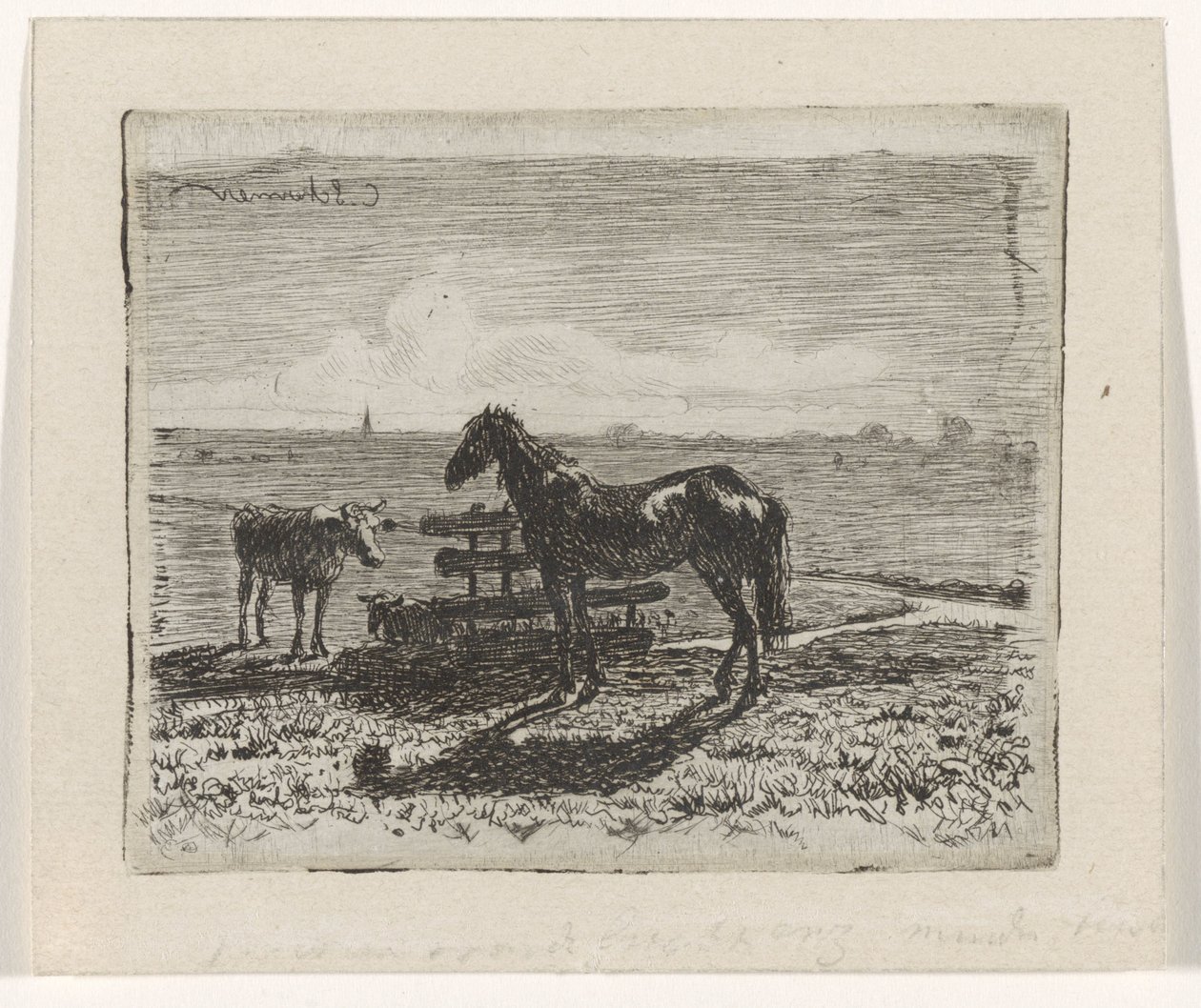 Pastura amb un cavall i dues vaques finlandeses tekijältä Cornelis Albertus Johannes Schermer