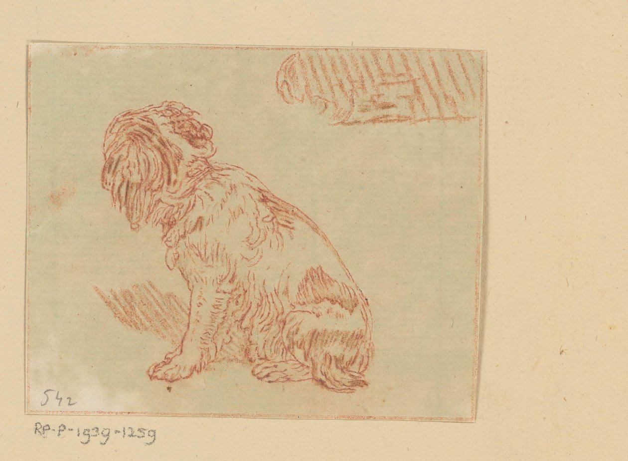 istuva koira tekijältä Cornelis Brouwer (possibly)