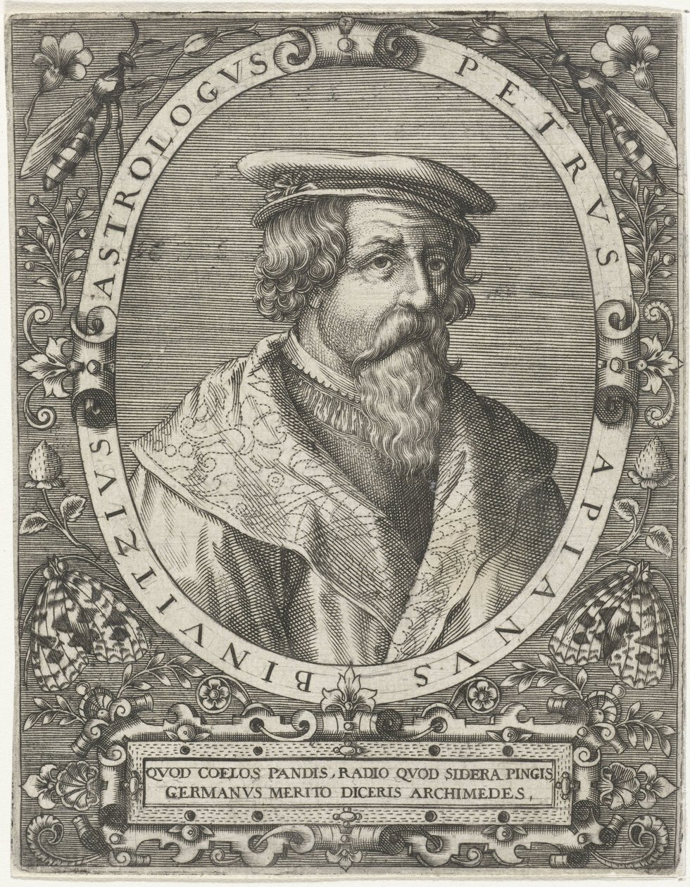 Peter Apianuksen muotokuva Petrus Apianus Binuitzius (otsikko esineessä) tekijältä Cornelis Galle (I)