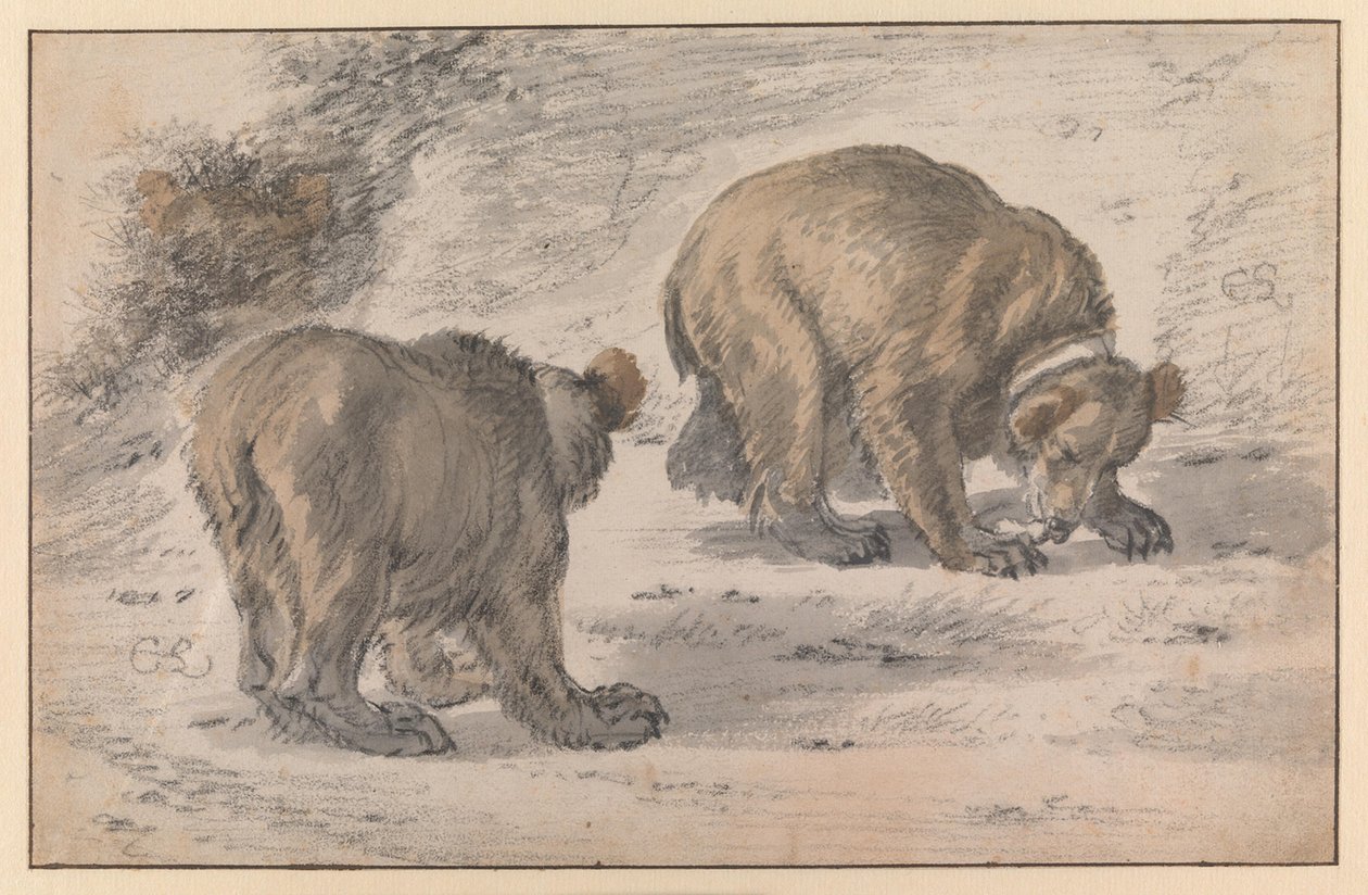 Karhu eri asennoissa tekijältä Cornelis Saftleven