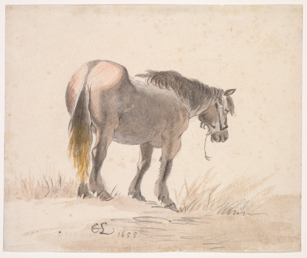 Hevonen seisoo Moundilla tekijältä Cornelis Saftleven