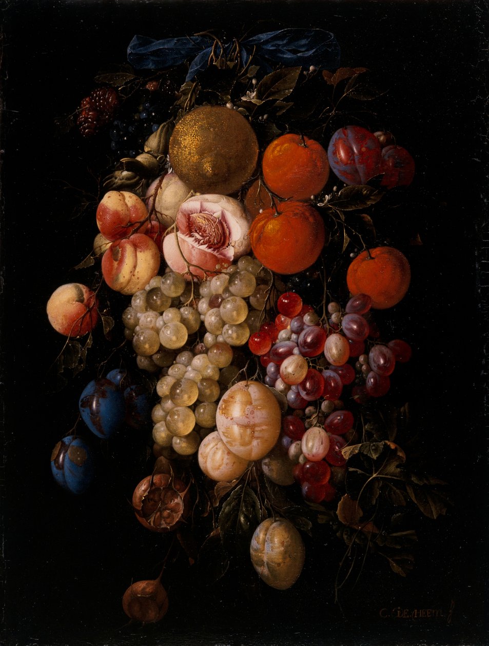 Rypäleiden, kirsikoiden ja luumujen asetelma, joka roikkuu naulosta sinisellä nauhalla tekijältä Cornelis de Heem