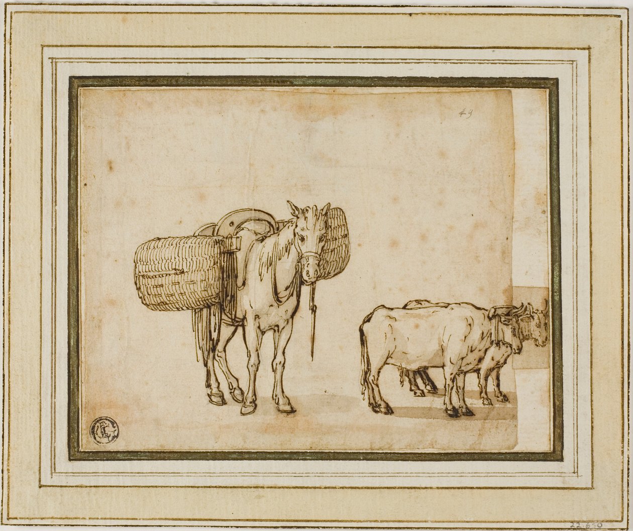 Kaksi luonnosta: Mule Carrying Baskets, pari Yoked Oxen kanssa. tekijältä Cornelis de Wael