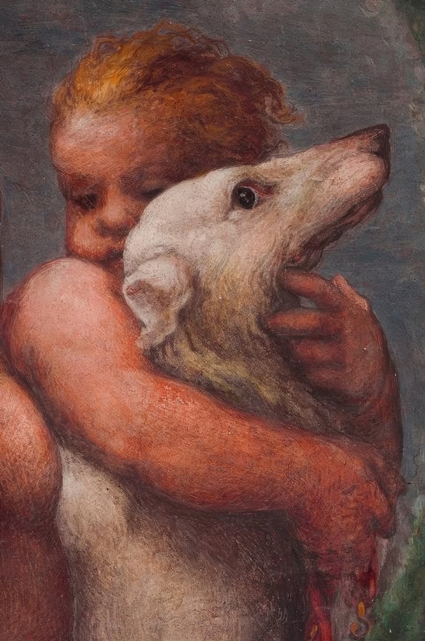 Parma, kamera S.Paolo, Putto tekijältä Antonio da Correggio