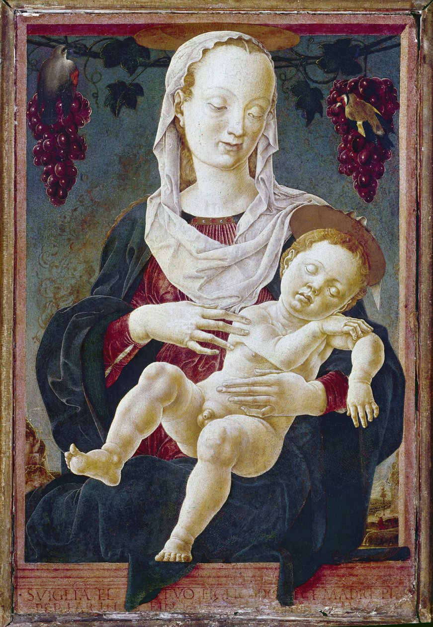 Madonna and Child, conhecida como Nossa Senhora do Zodíaco. c.1459-63 (têmpera a bordo)finlandês tekijältä Cosimo Tura
