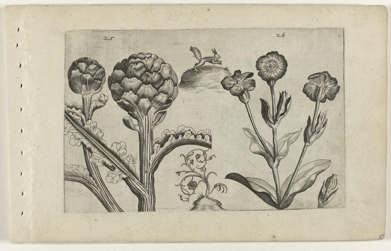 Artisjok en prikneus Tunne liljat (sarjan nimi) tekijältä Crispijn van de Passe (I) (attributed to)