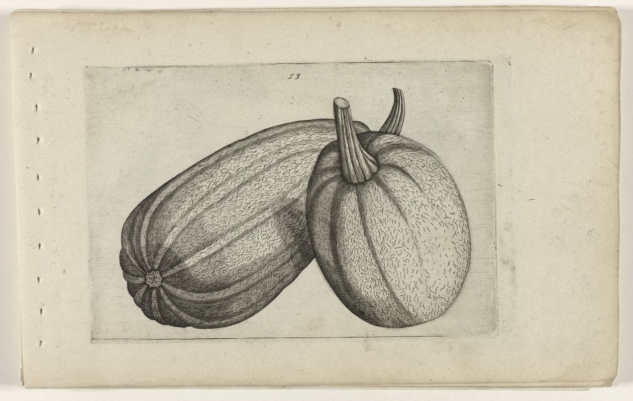Kaksi melonia Tunne liljat (sarjan nimi) tekijältä Crispijn van de Passe (I) (attributed to)