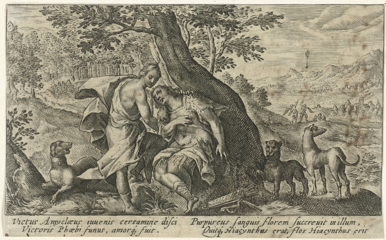 Apollo ja Hyacinthus Metamorfosen van Ovidius (sarjan nimi) tekijältä Crispijn van de Passe (I)