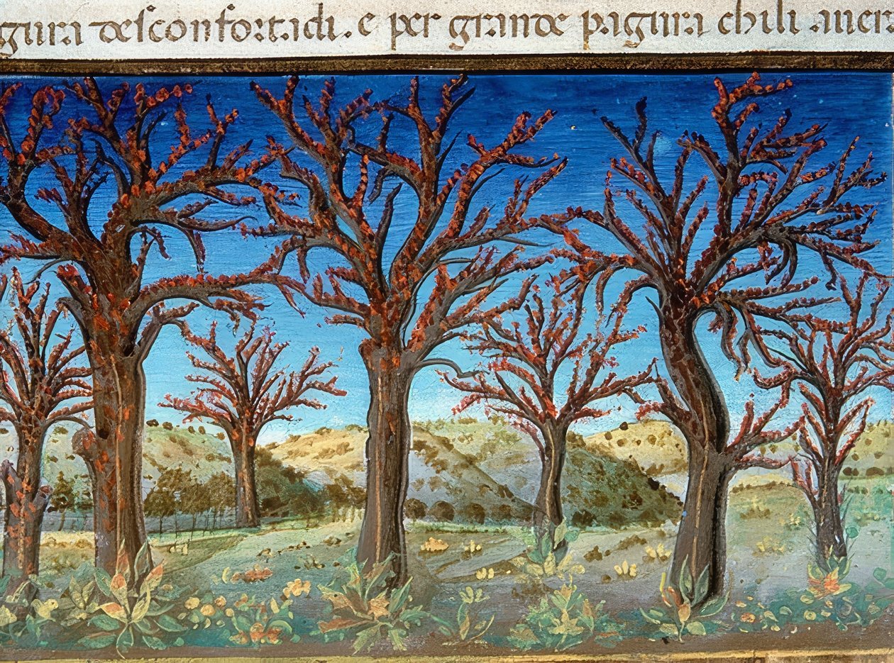 Maailmanloppu: puut peittyvät vereen (n. 147v). 1476 tekijältä Cristoforo De Predis