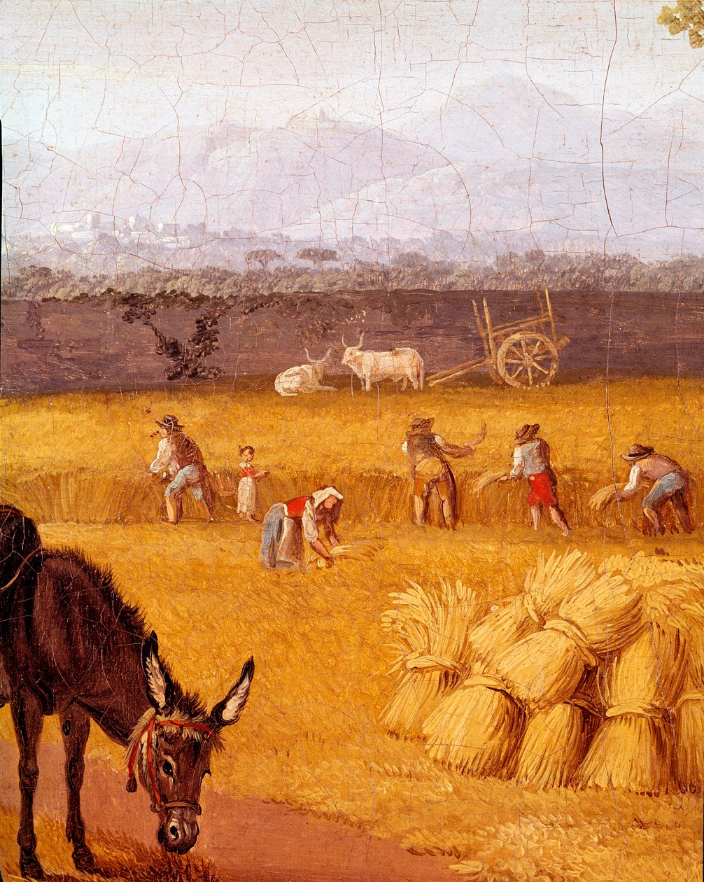 Verema prop de Caserte Detall. Pintura de Cristoforo Kneip (segle XVIII) amic de Goethe. Nàpols del segle XVIII Museu Nazionale di San Martino finlandès tekijältä Cristoforo Kneip