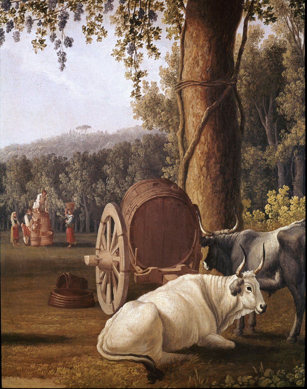 Sadonkorjuu Napolin lähellä Lehmien tiedot - (Sadonkorjuu Napolin lähellä) Cristoforo Kneipin maalaus (1700-luku) Napoli, Museo Nazionale di San Martino tekijältä Cristoforo Kneip