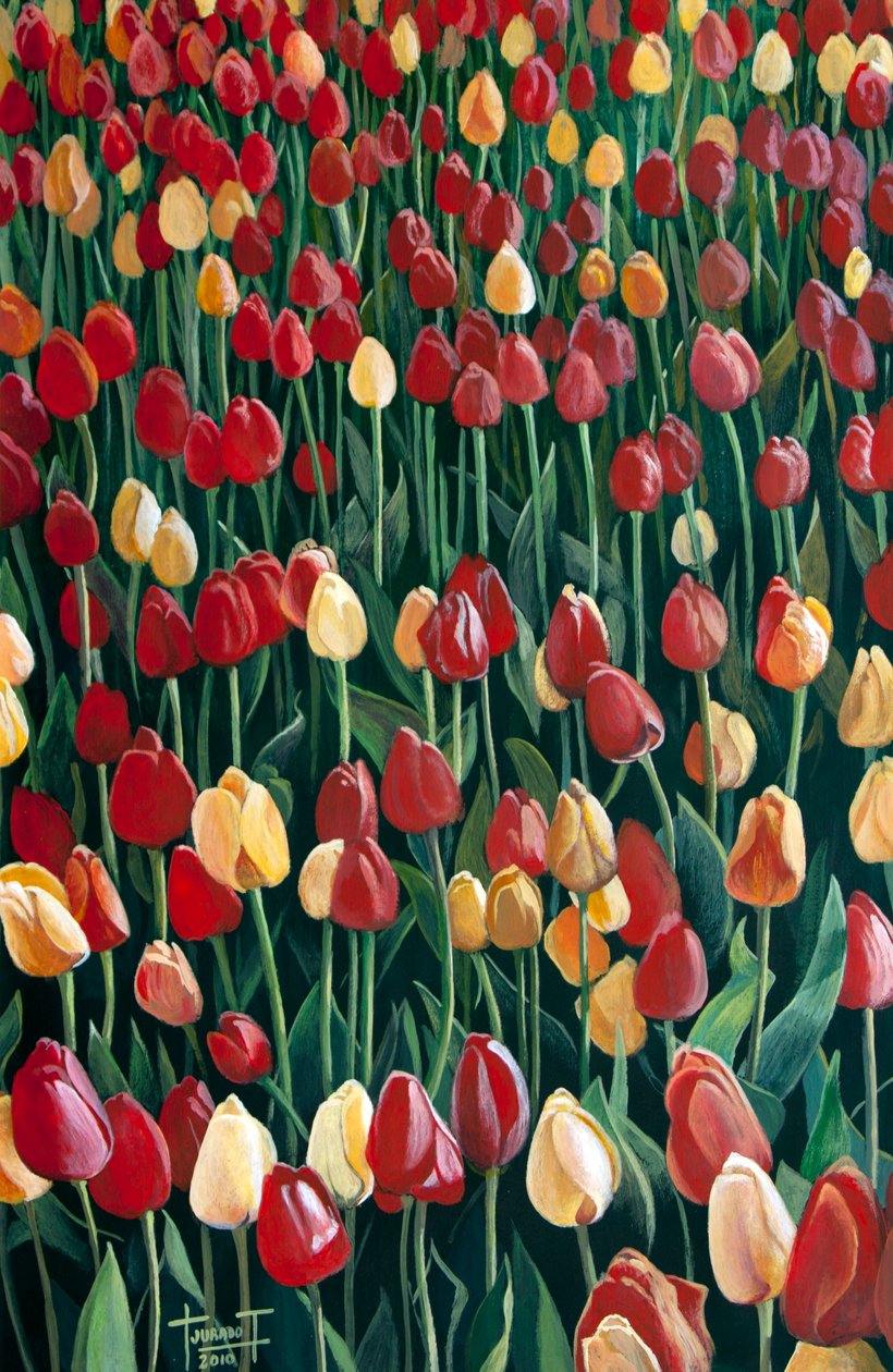 Tulppaanit, 2010 (akryyli paperille) tekijältä Cruz Jurado Traverso