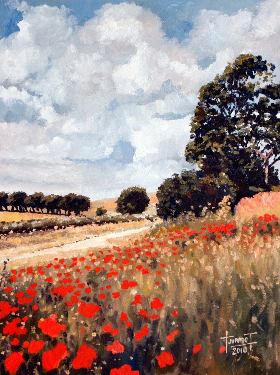 Wild Poppies, Hertfordshire, 2010 (öljy paperille) tekijältä Cruz Jurado Traverso
